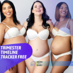 Trimester Timeline Tracker Free